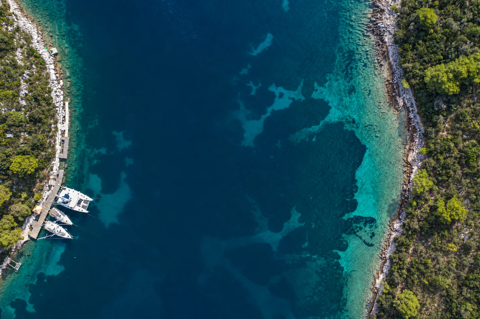 Yachts moored beside a wooded Mediterranean cove